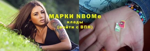 мдпв Богородицк