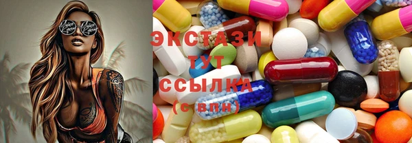 мдпв Богородицк