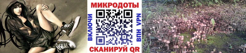 Псилоцибиновые грибы мицелий  купить наркоту  Весьегонск 