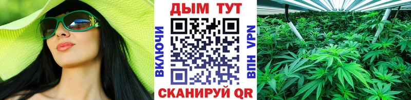 МАРИХУАНА ГИДРОПОН Весьегонск